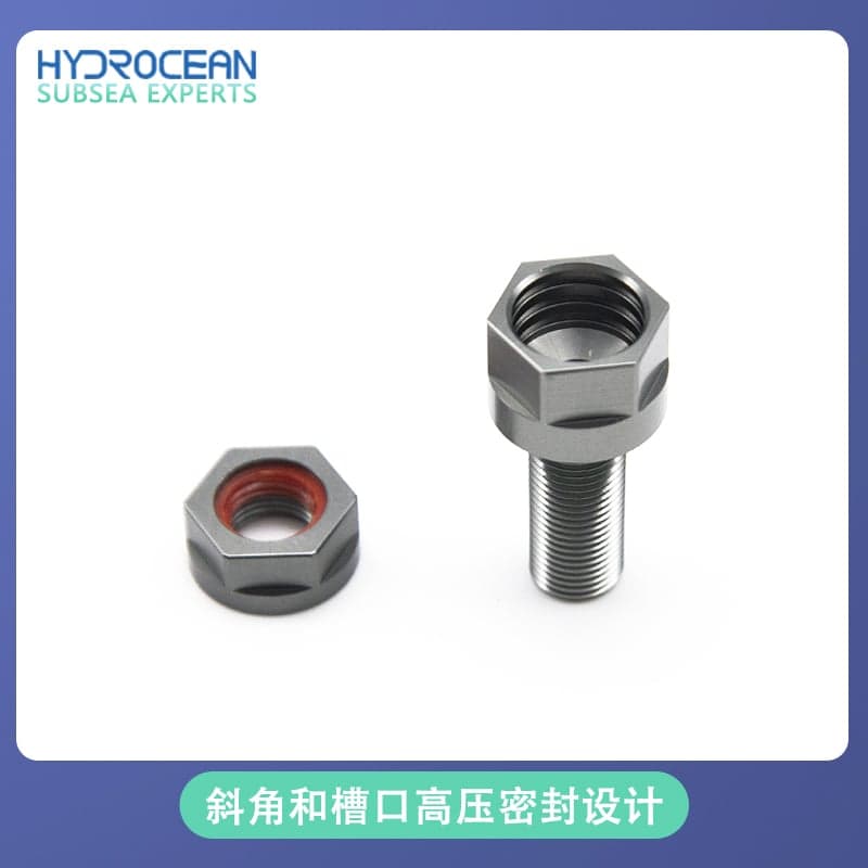 Hydrocean Hollow Screw Threading Bolt - view 3